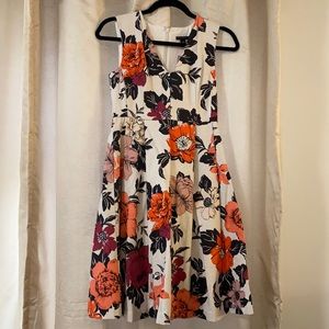NWT Ann Taylor Dress